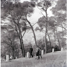 Auberge de jeunesse : Nice : Promenade dans les environs