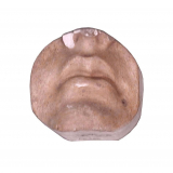 Moulage en plâtre. Bouche de la Vénus de Milo.