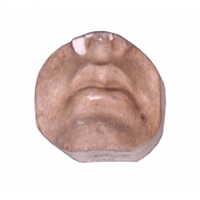 Moulage en plâtre. Bouche de la Vénus de Milo.