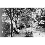Pensionnat de la Providence. 20, Rue de la Prévoté. Poitiers - 1931-1932.