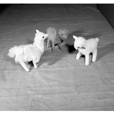 I.P.N. : exposition, Coopératives scolaires : travaux d'élèves.