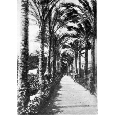 Collège Saint-Marc - Camp de César. Alexandrie (Egypte).