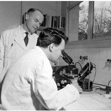 Centre de l'Enfance de Longchamp : observation au microscope