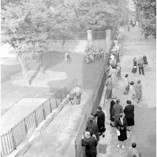 Rentrée scolaire, 1956 : les parents regardent dans la cour de l'école