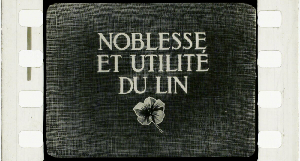 Noblesse et utilité du Lin.