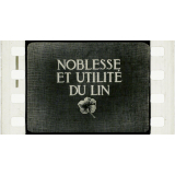 Noblesse et utilité du Lin.