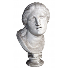 Tête de Niobe.