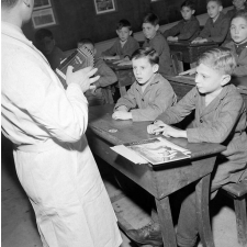 Ecole primaire de Brunoy, enseignement de la musique : présentation d'une cythare