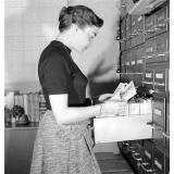 Bibliothèque de l'I.P.N. : les fichiers.
