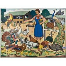 Tableau de vocabulaire. N°16- A la ferme. N°16bis- La basse-cour.