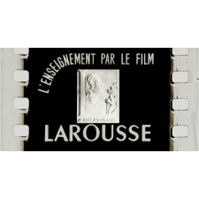 Algues, lichens, mousse et fougères. S.57.