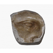 Moulage en plâtre. Oeil de la Vénus de Milo.