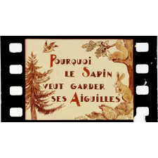 Pourquoi le sapin veut garder ses aiguilles.