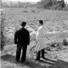 Centre d'éducation surveillée : la formation professionnelle agricole.