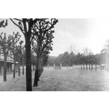 Collège Carnot - Fontainebleau. 1936-1937.