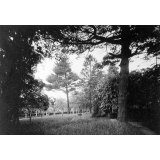 Institution Notre-Dame. Flers-de-L'Orne. 1937-1938.