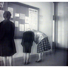 Université de Caen : tableau d'affichage de la faculté de droit