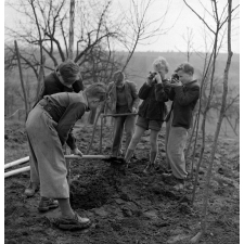 Coopératives scolaires : école du Bas-Rhin, plantation d'arbres