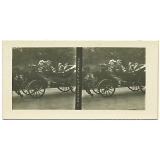 MM. Poincaré et Joffre.