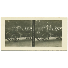 MM. Poincaré et Joffre.