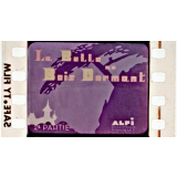 La Belle au bois dormant. 2ème partie.