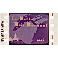 La Belle au bois dormant. 2ème partie.