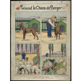 L'observation par l'Image. 2-Pataud le chien de berger.