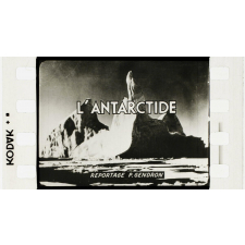 L'Antarctide.