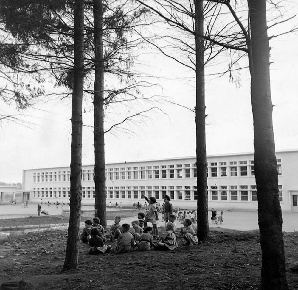 Groupe scolaire du Vigenal à Limoges : vue générale des bâtiments scolaires