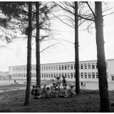 Groupe scolaire du Vigenal à Limoges : vue générale des bâtiments scolaires