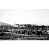 Pensionnat St-Augustin, Bouisseville près Oran. (Algérie).