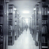 Université de Caen : la bibliothèque. L'alignement des rayonnages