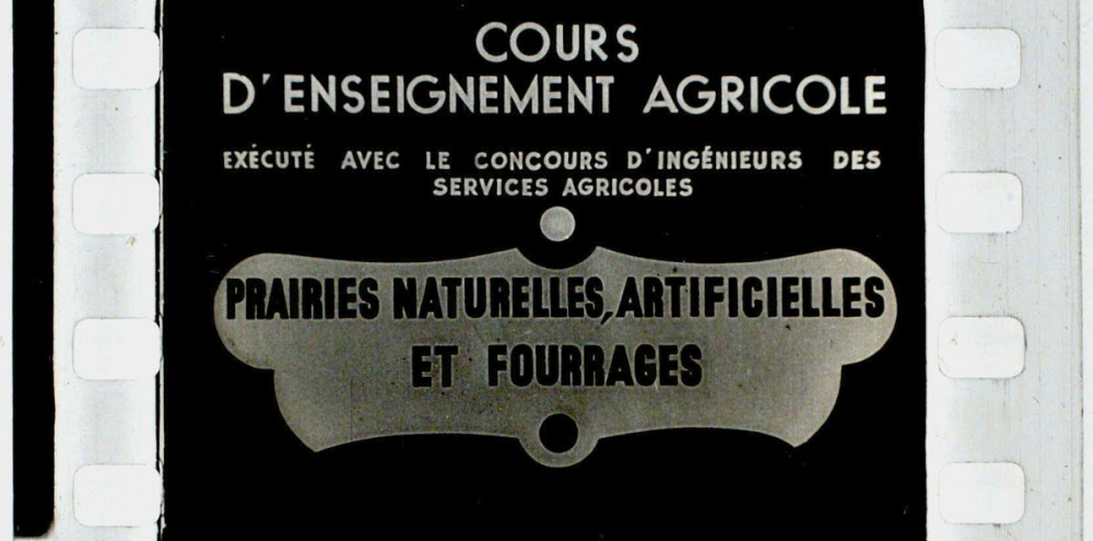 Prairies naturelles, artificielles et fourrage.