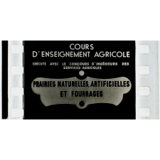 Prairies naturelles, artificielles et fourrage.