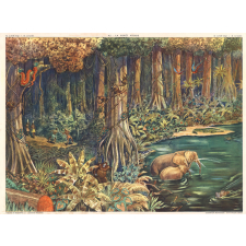 Tableau de géographie. 45-la forêt vierge. 46-la toundra.