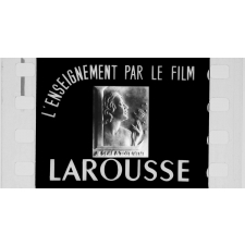 Les Organes des sens. Le nez et l'odorat; la peau, le toucher, la langue, le goût. S.28.
