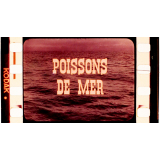 Poissons de mer.