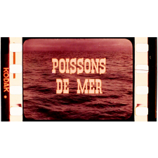Poissons de mer.