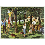 Tableaux d'élocution CE. 3ème. 7- La cueillette des cerises. 8- Le salon automobile. 