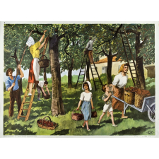 Tableaux d'élocution CE. 3ème. 7- La cueillette des cerises. 8- Le salon automobile.