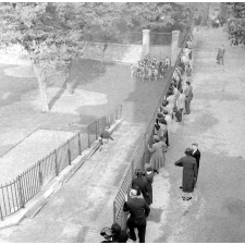 Rentrée scolaire, 1956 : les parents regardent dans la cour de l'école