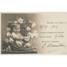 Né dans les fleurs, ce (27 X 1903) je vous en apporte la nouvelle. On me nomme (Gisèle) Monsieur et Madame (L. Bruneteau).