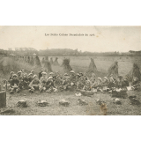 Les Petits Colons Darnetalais de 1916.