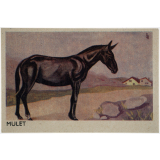 Animaux de la ferme