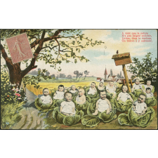 Bébés dans les choux.