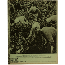 Vendanges en Champagne - École en 1914-18.