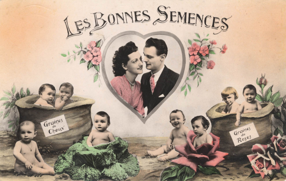 Les Bonnes Semences.