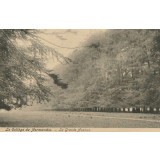 Le Collège de Normandie - La Grande Avenue.