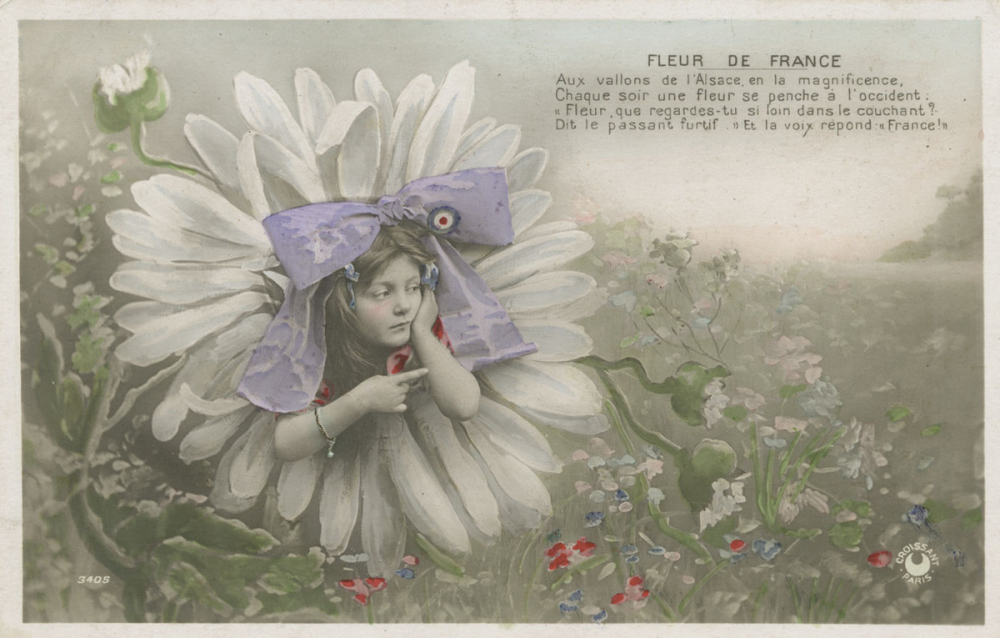 Fleur de France.