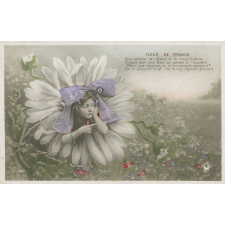 Fleur de France.